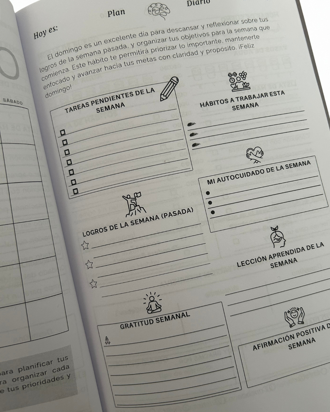 Agenda de Hábitos Física + EBOOK Menú 7 Días Saludables: PIERDE 1-3kg en una Semana.